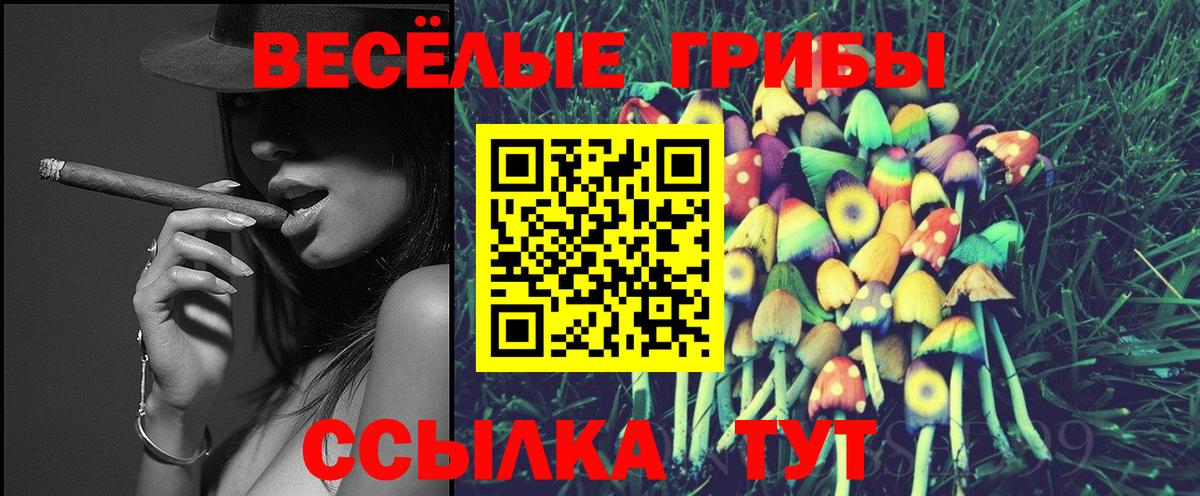 Псилоцибиновые грибы ЛСД  Вход с VPN  Щёлково 